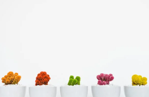 GEO 与 SEO:AI 时代,不是“接班”而是“并行”