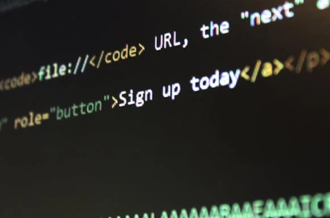 从零到一:打造高性能网站的完整技术指南