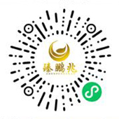 臻鹏兆