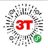3T